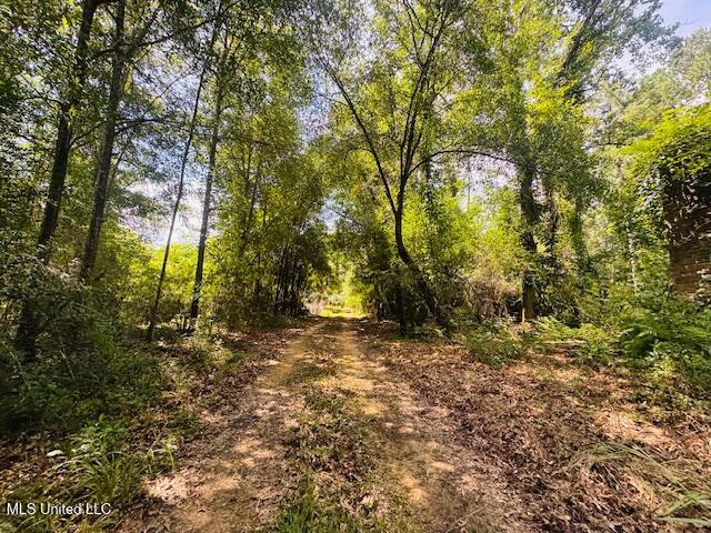 Tbd Balltown Road Property Photo 2