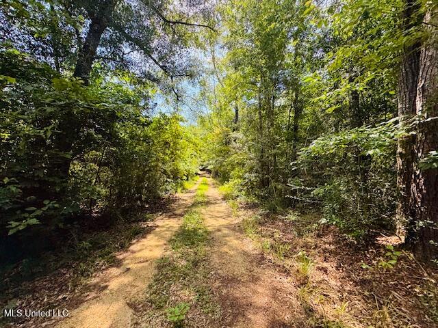 Tbd Balltown Road Property Photo 4