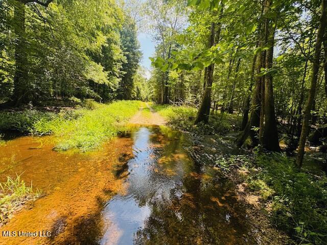 Tbd Balltown Road Property Photo 6