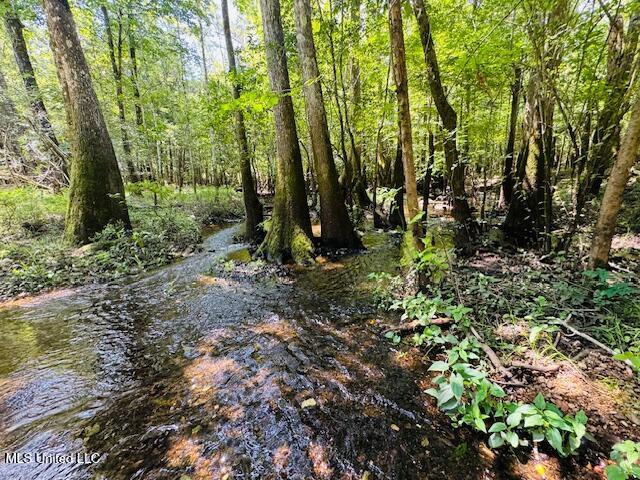 Tbd Balltown Road Property Photo 7