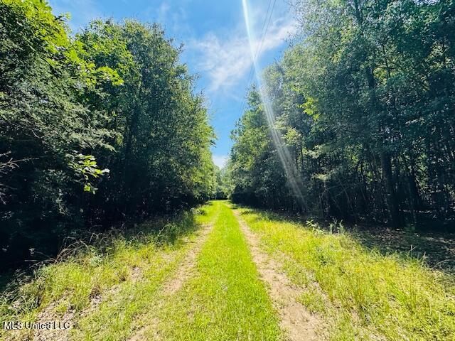 Tbd Balltown Road Property Photo 9