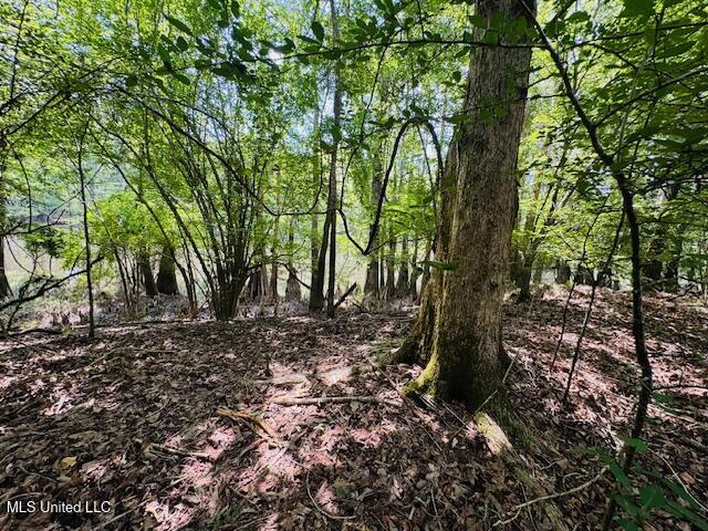 Tbd Balltown Road Property Photo 21