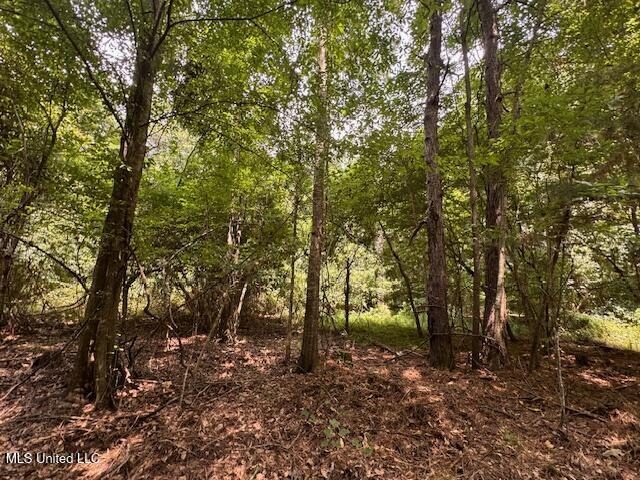 Tbd Balltown Road Property Photo 22