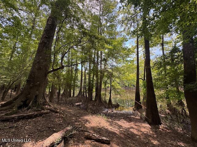 Tbd Balltown Road Property Photo 23