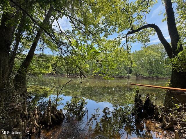 Tbd Balltown Road Property Photo 24