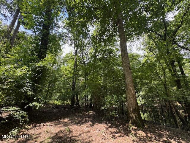 Tbd Balltown Road Property Photo 25