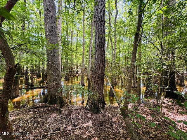 Tbd Balltown Road Property Photo 26