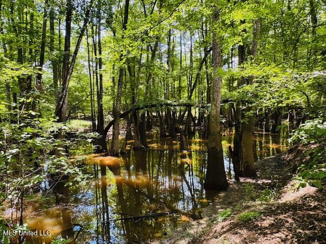 Tbd Balltown Road Property Photo 27