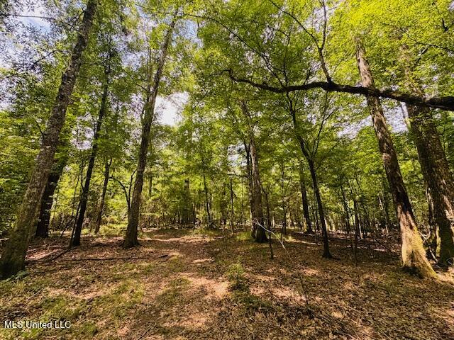 Tbd Balltown Road Property Photo 28