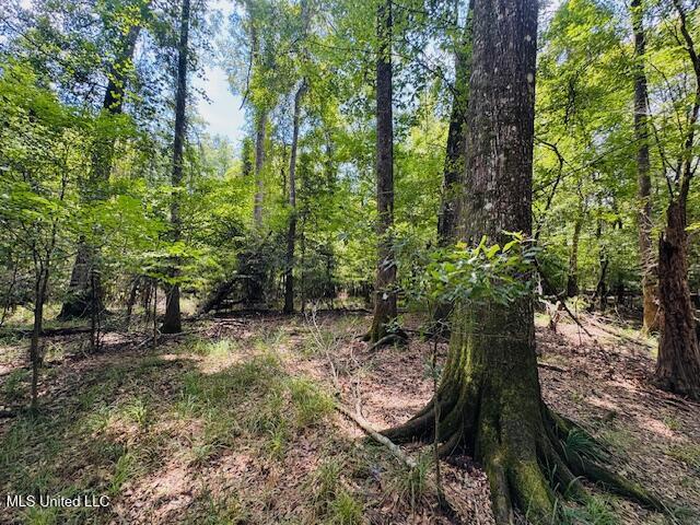 Tbd Balltown Road Property Photo 29