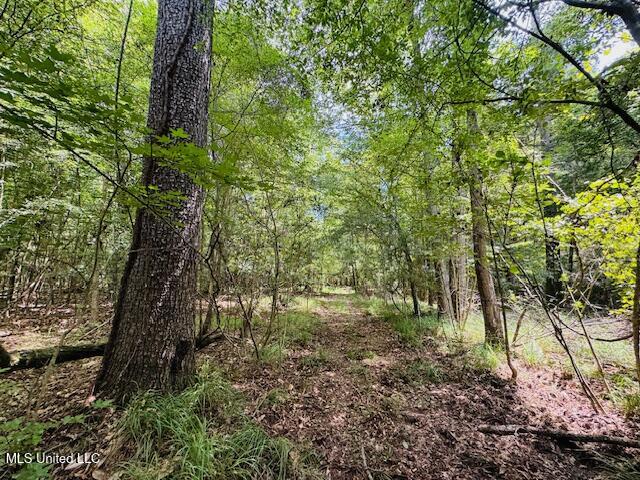 Tbd Balltown Road Property Photo 30