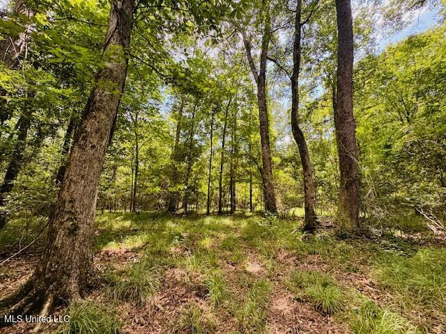 Tbd Balltown Road Property Photo 31