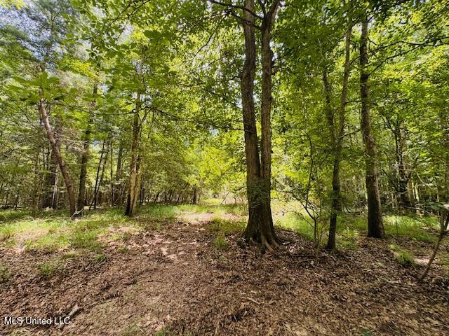 Tbd Balltown Road Property Photo 32