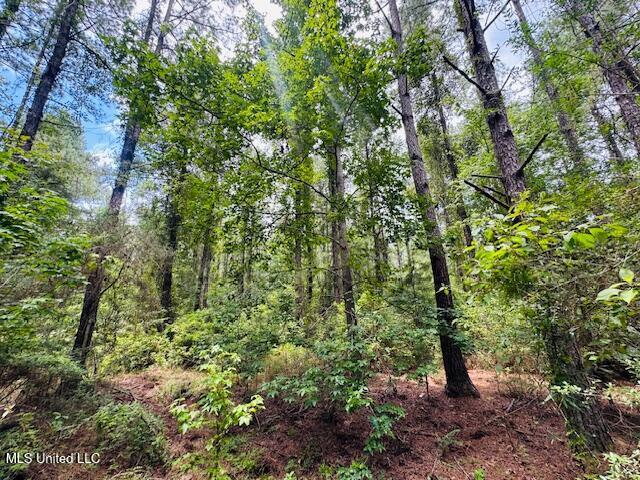 Tbd Balltown Road Property Photo 35