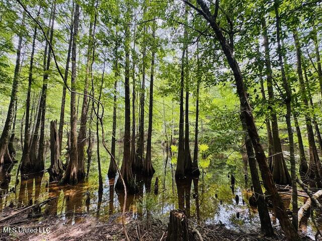 Tbd Balltown Road Property Photo 36