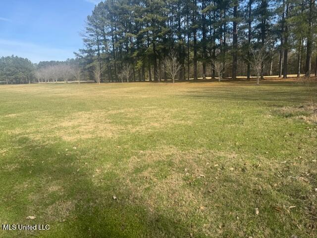 Club Drive Property Photo 2