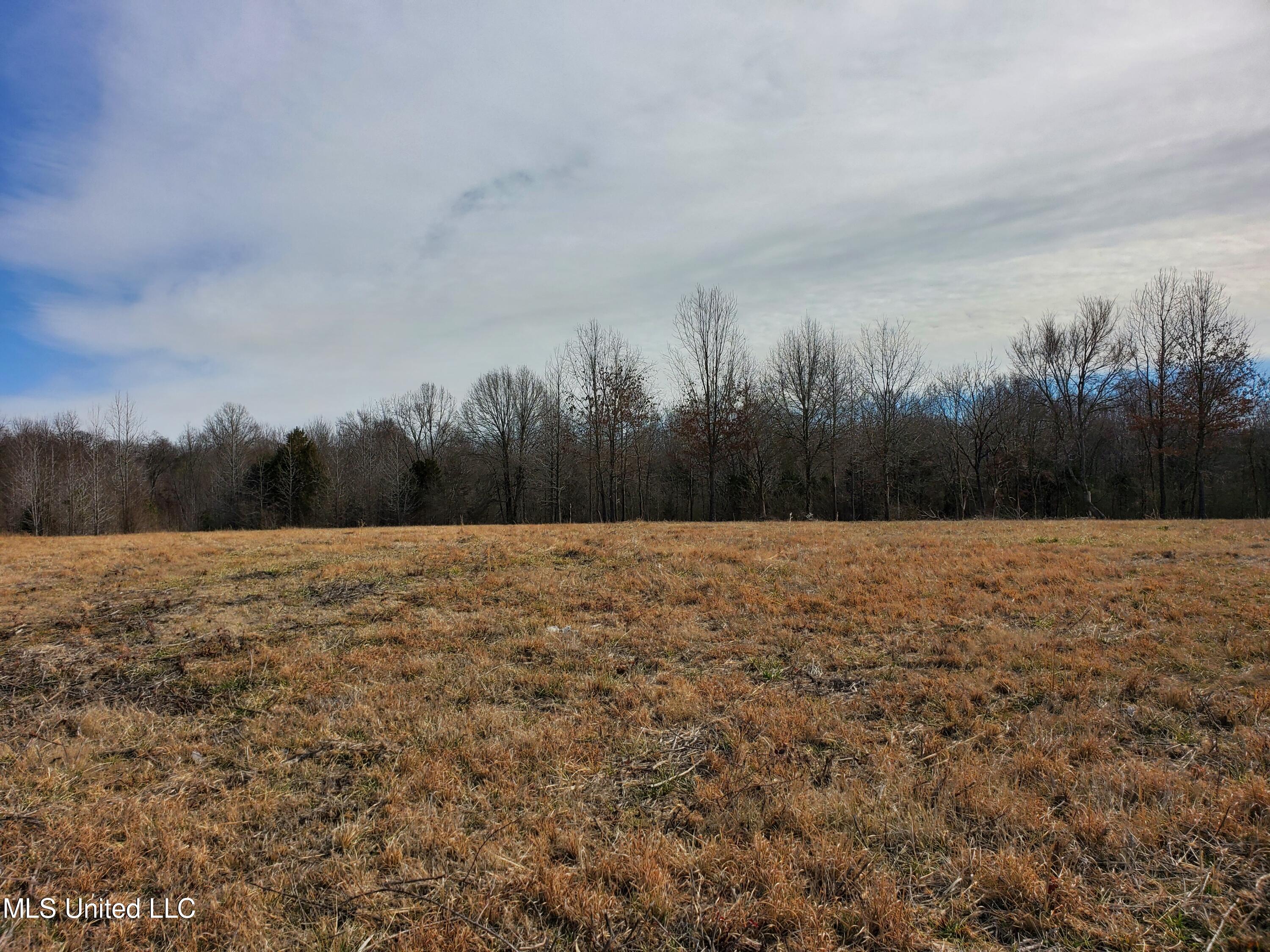 000 Woolfolk Road Property Photo 1