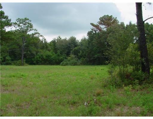 15200 U S Highway 49 Property Photo 3