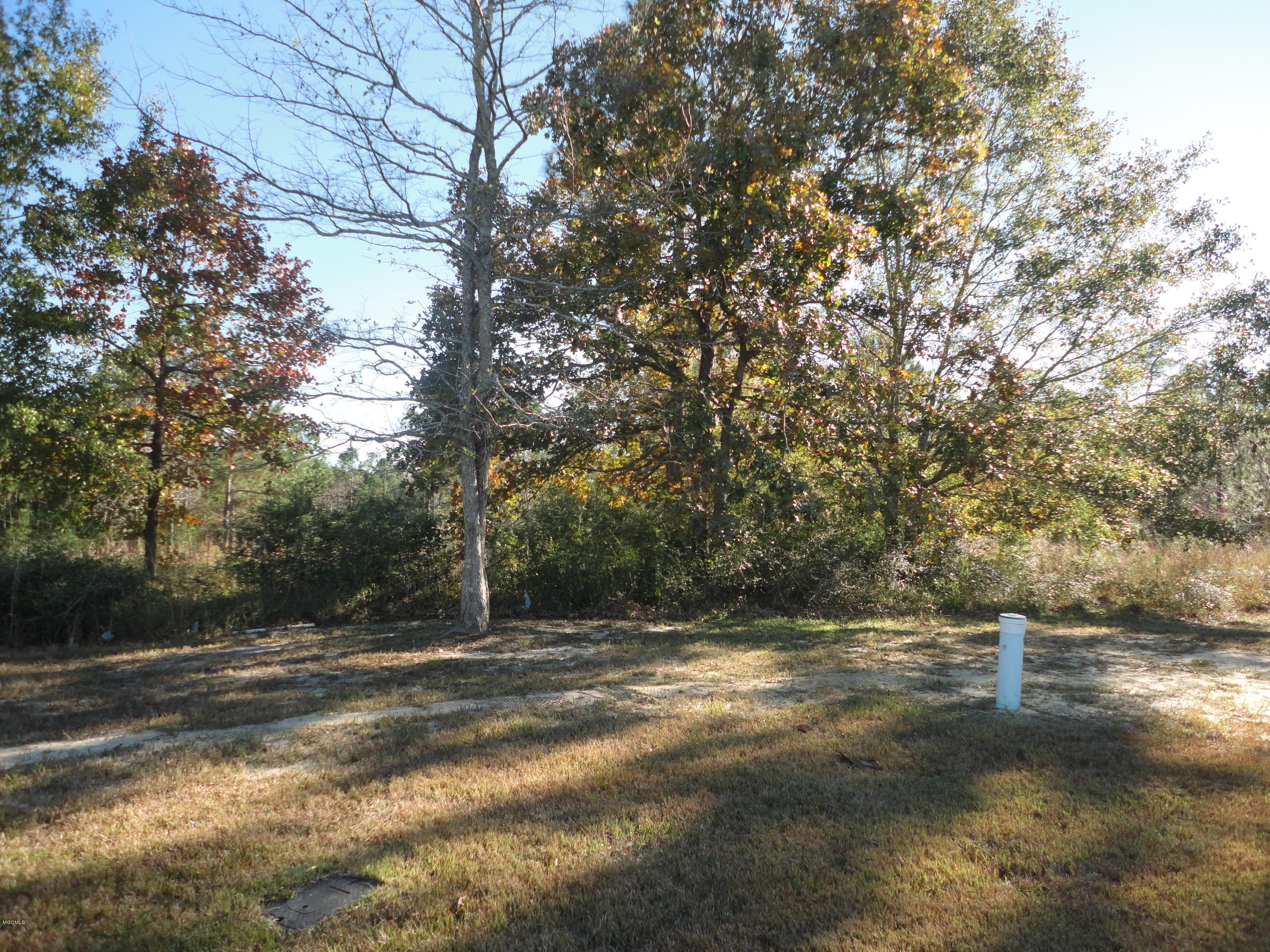 Calloway Cove Property Photo 2
