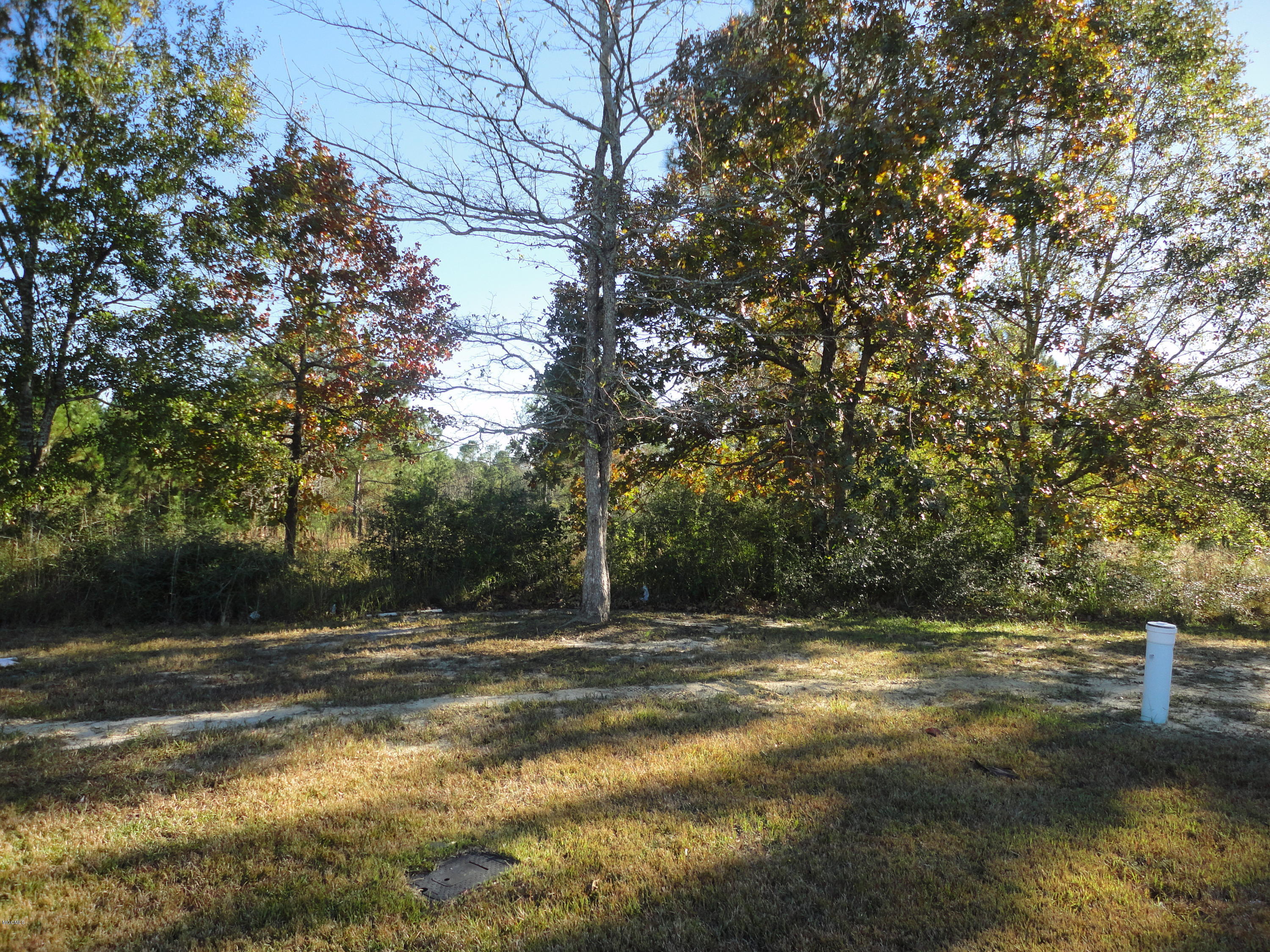 Calloway Cove Property Photo 3