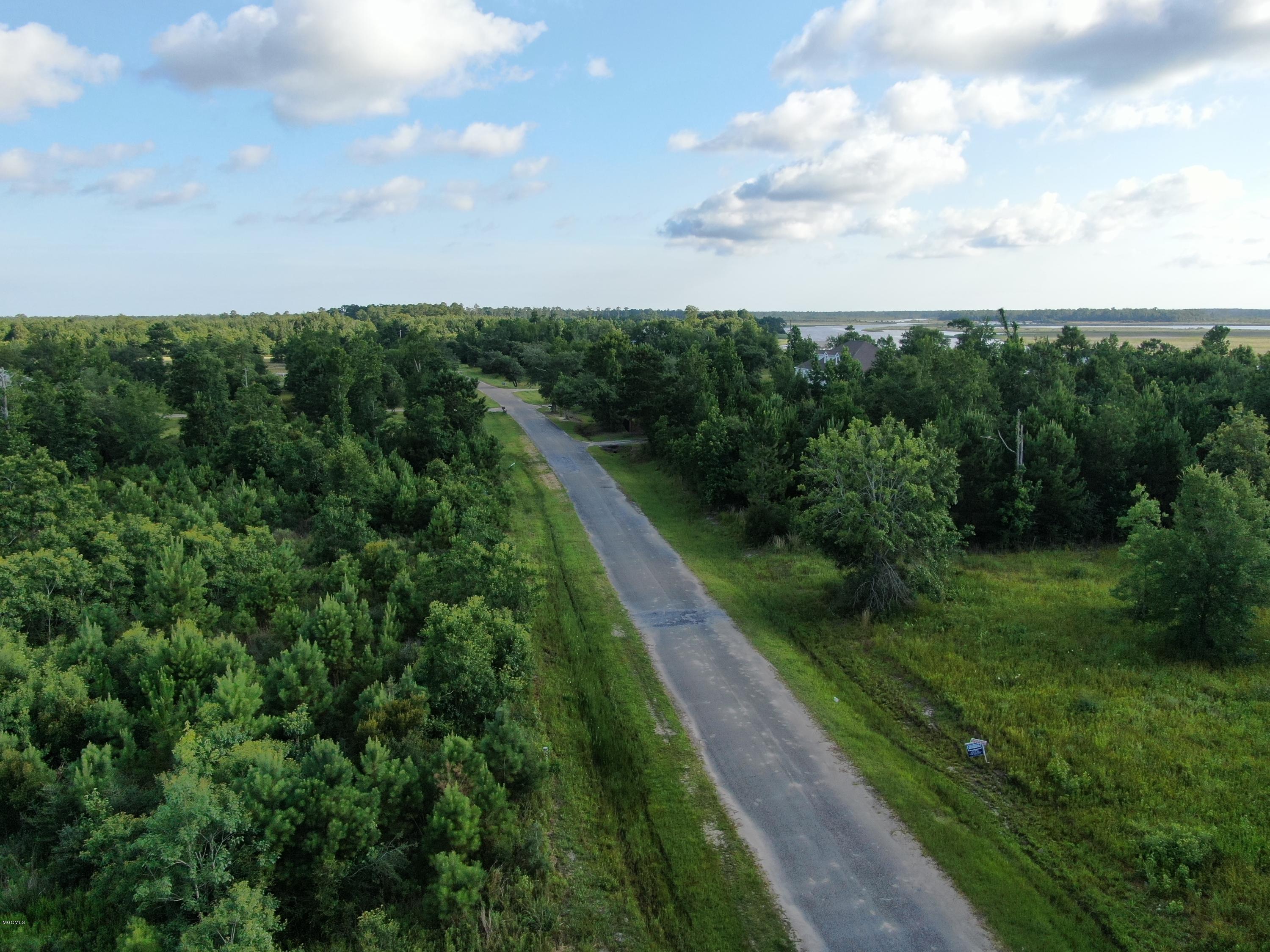 0 Jourdan Bluff Drive Property Photo 5