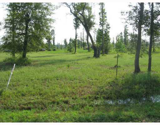 0 Jourdan Bluff Drive Property Photo 7