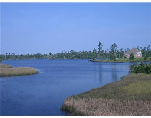 0 Jourdan Bluff Drive Property Photo 9