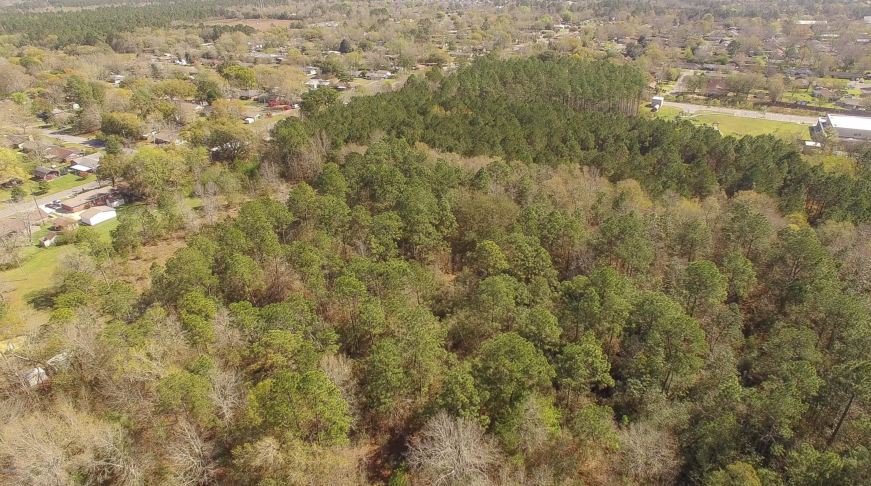 0 Klein Road Property Photo 6