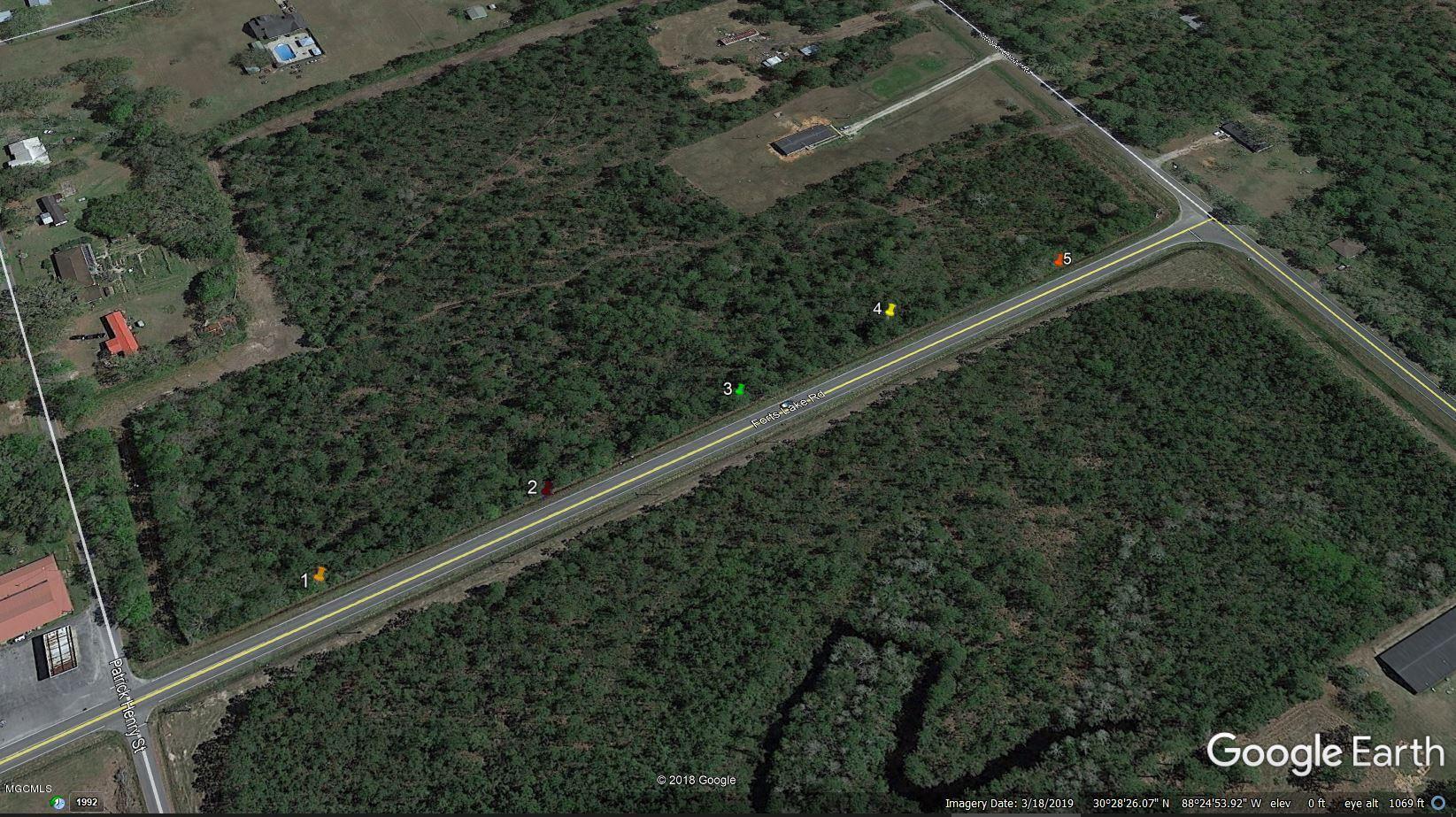 0 Forts Lake Road Property Photo 3