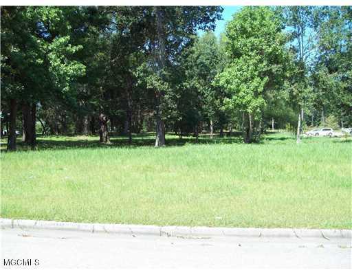 0 Tommy Munro Drive Property Photo 1