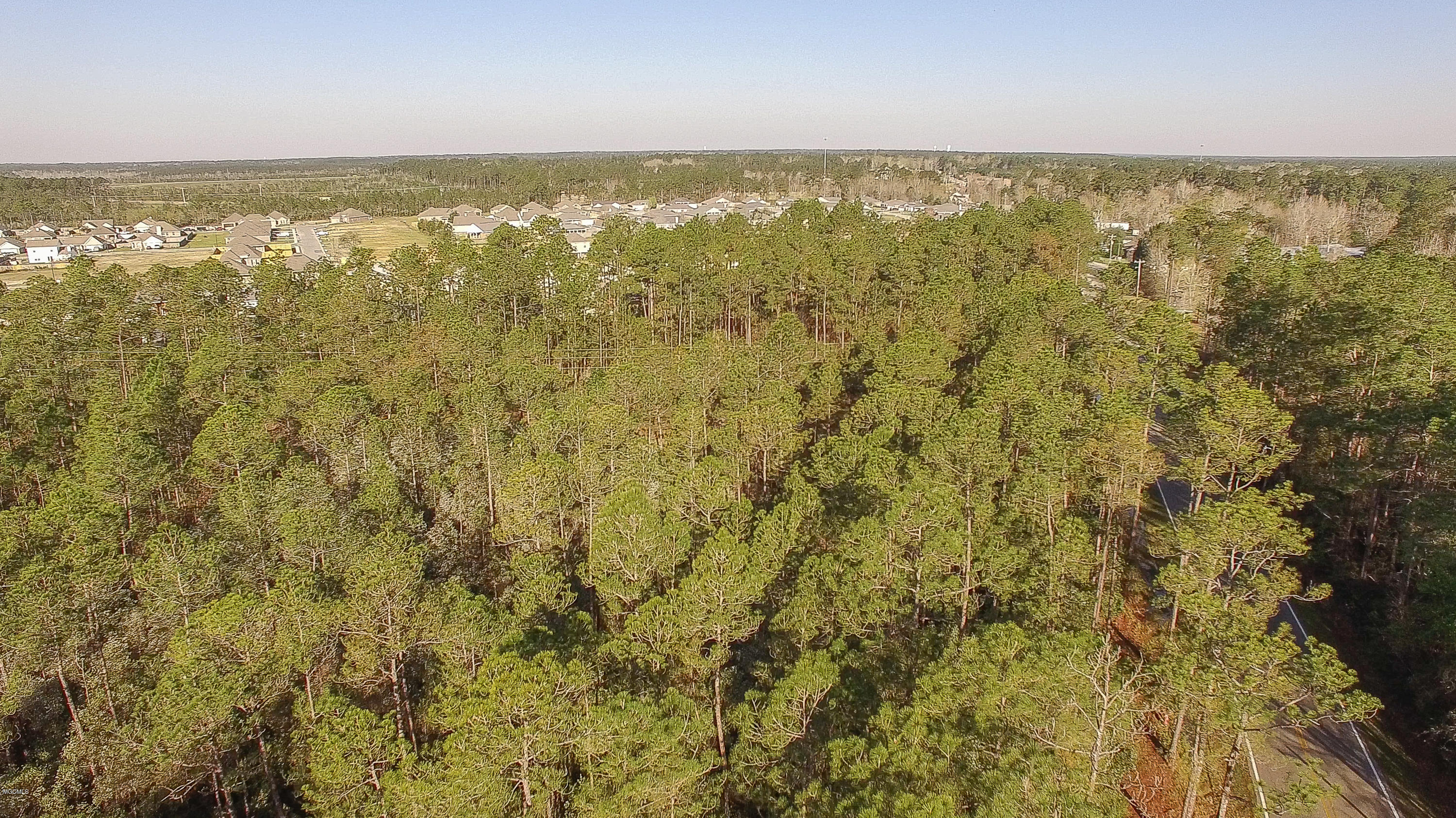 14085 Lamey Brg Road Property Photo 3