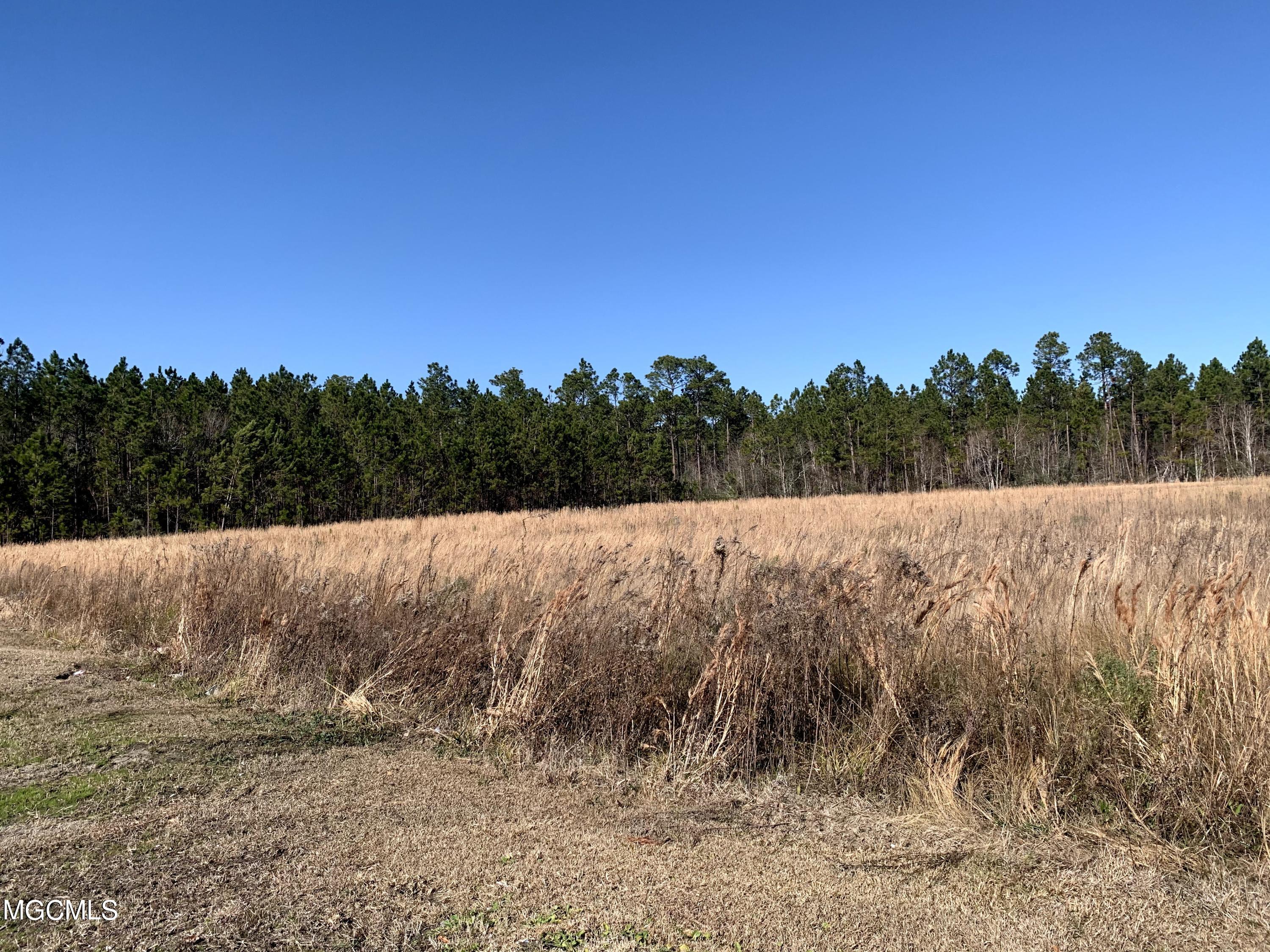 10 Acres Highway 603 Property Photo 3