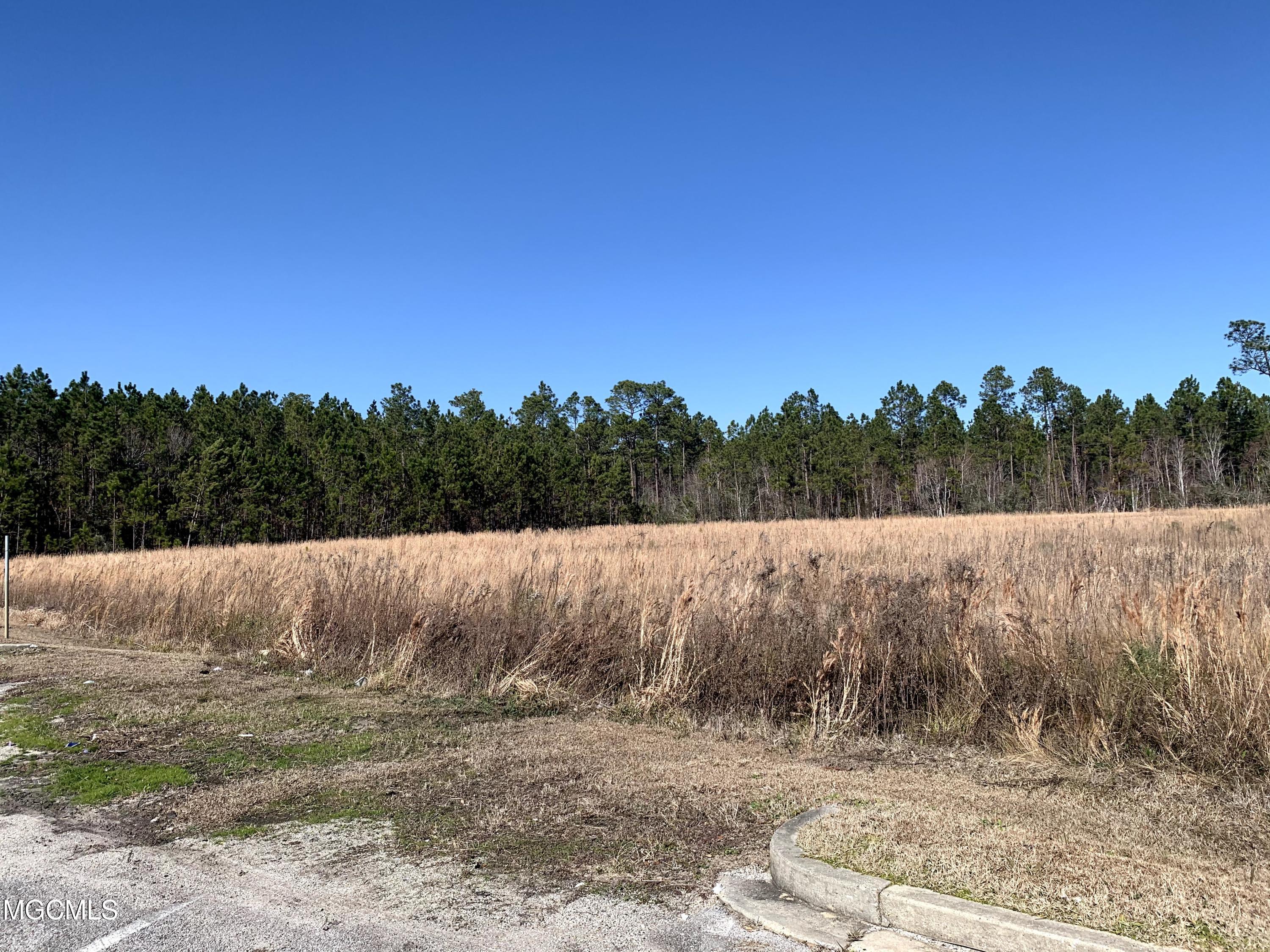 10 Acres Highway 603 Property Photo 5
