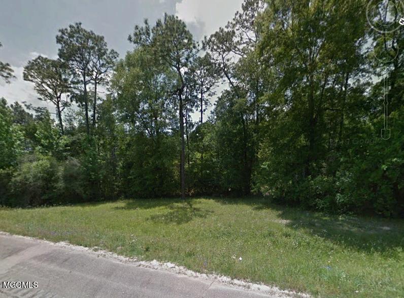 Lot 5.3 Ac Old Hwy 49 Property Photo 6