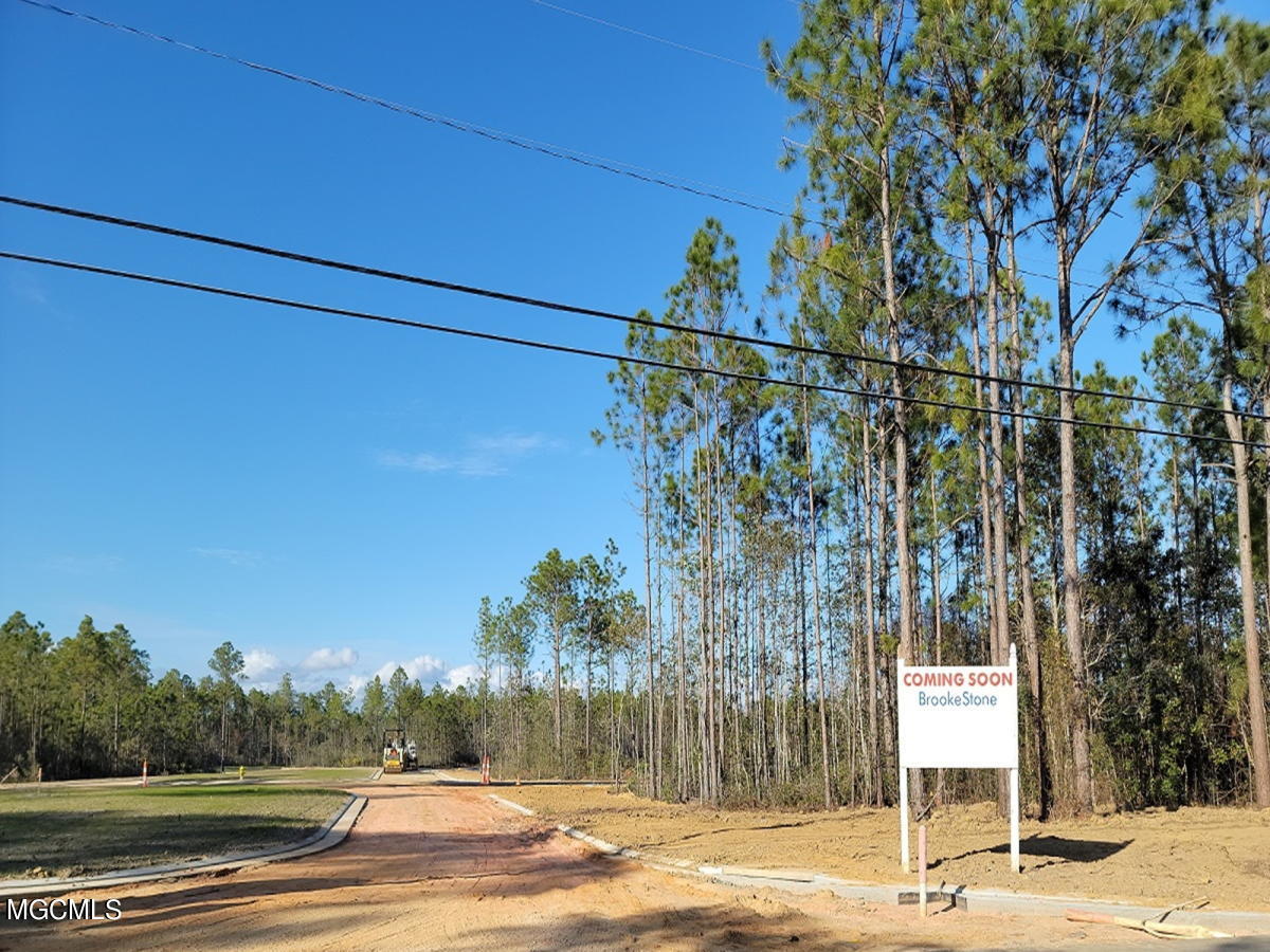 10968 Grace Cove Property Photo 9