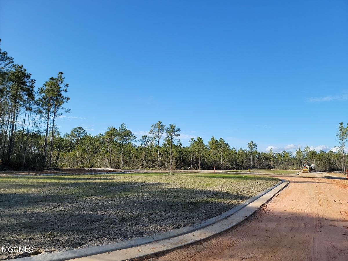 10968 Grace Cove Property Photo 10