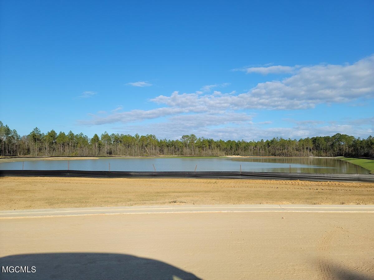 10968 Grace Cove Property Photo 12