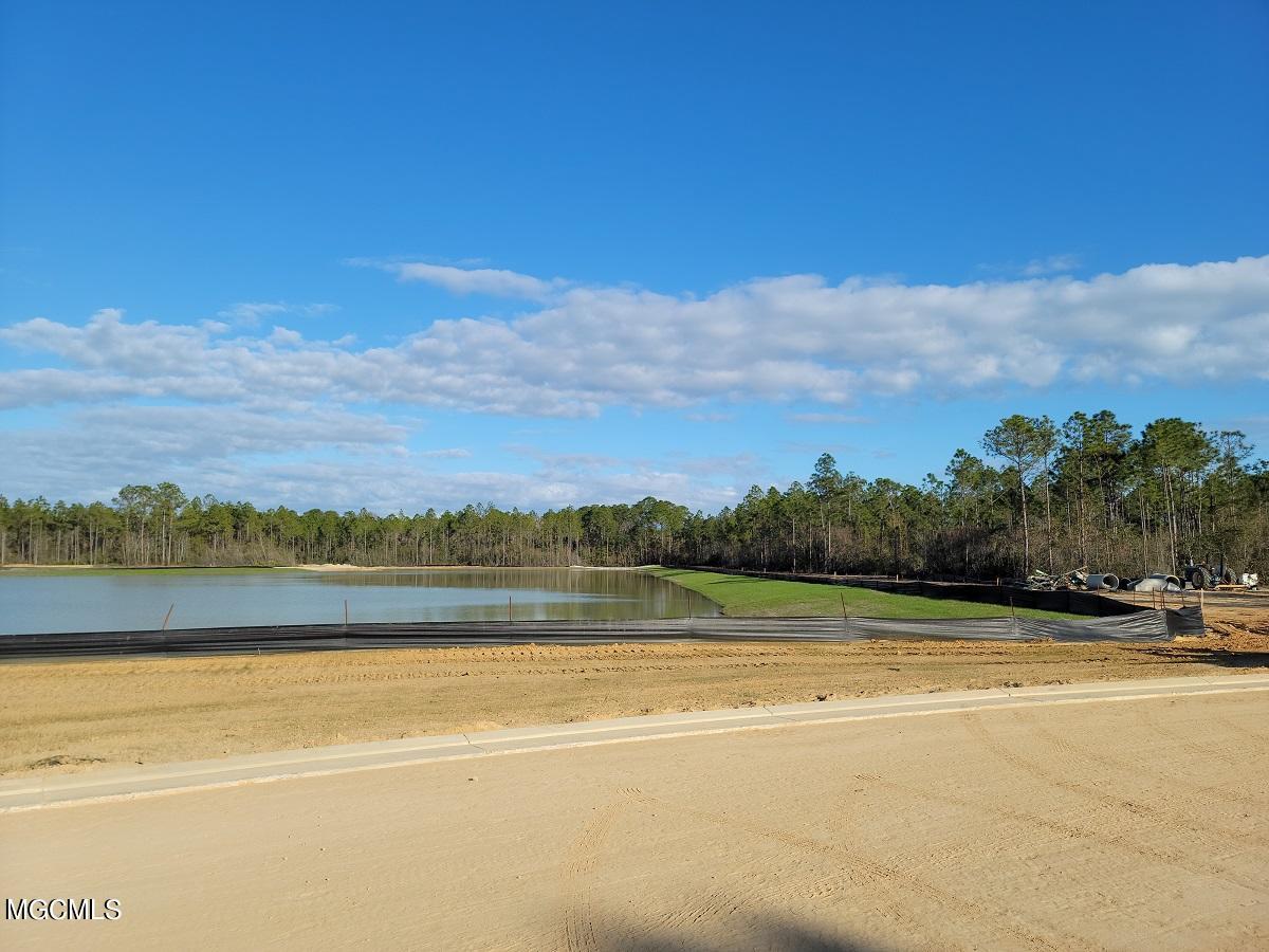 10968 Grace Cove Property Photo 13
