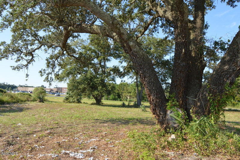 1598 E Beach Boulevard Property Photo 6