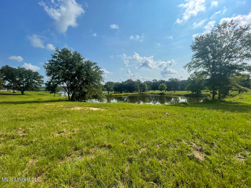 Lot 8 Conner Stringer Drive Property Photo 2