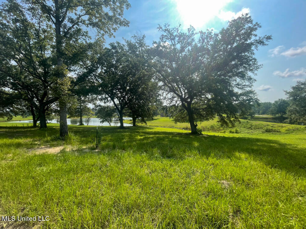 Lot 8 Conner Stringer Drive Property Photo 15