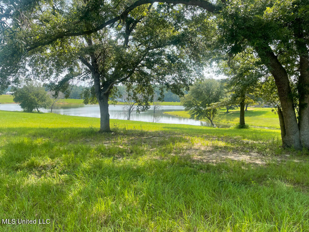 Lot 8 Conner Stringer Drive Property Photo 19