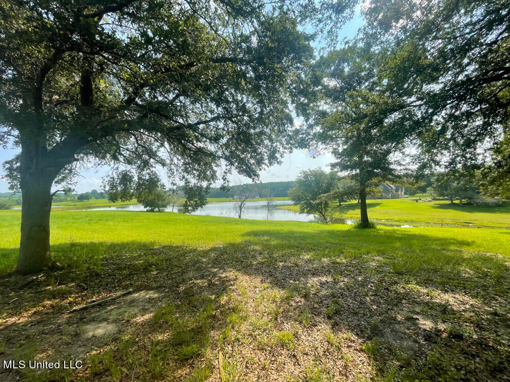 Lot 8 Conner Stringer Drive Property Photo 21