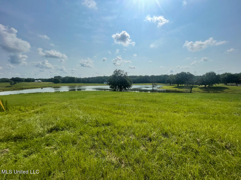Lot 8 Conner Stringer Drive Property Photo 24