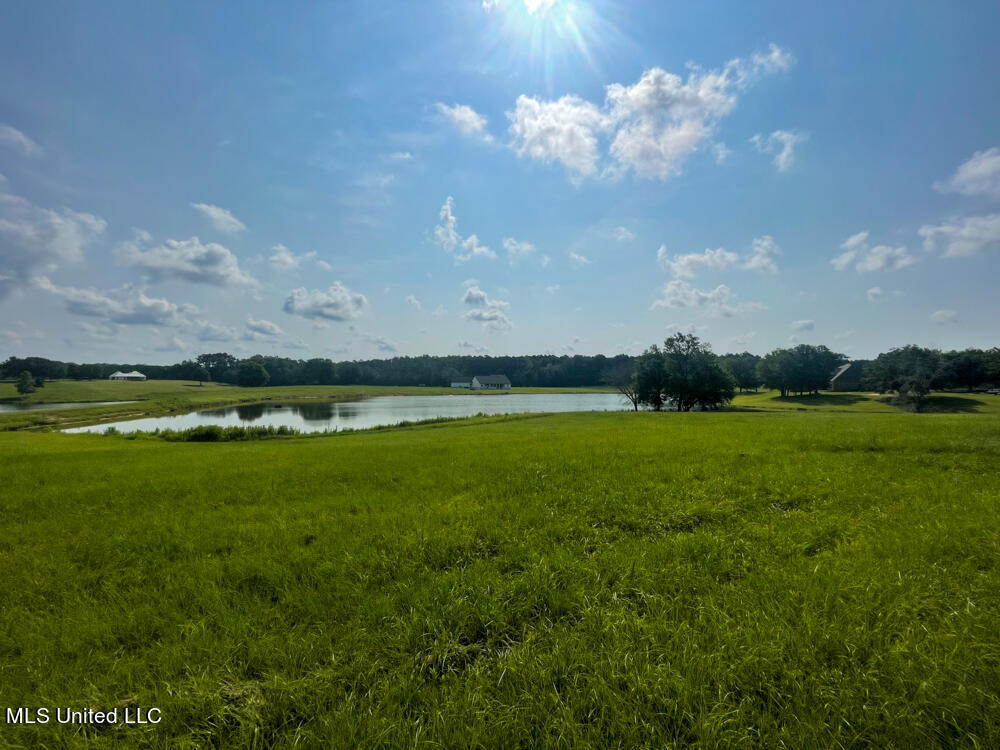 Lot 8 Conner Stringer Drive Property Photo 28