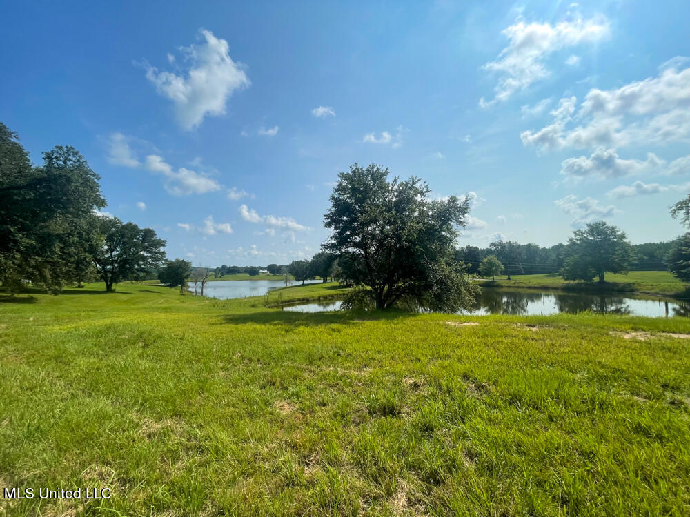 Lot 8 Conner Stringer Drive Property Photo 31