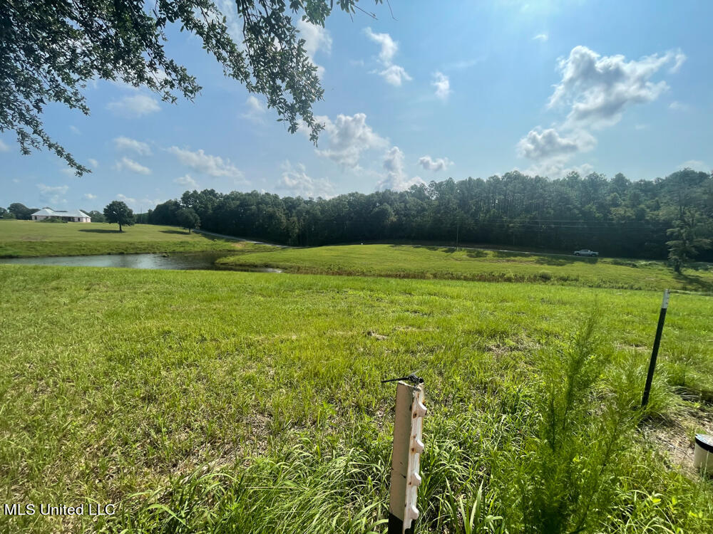 Lot 8 Conner Stringer Drive Property Photo 41