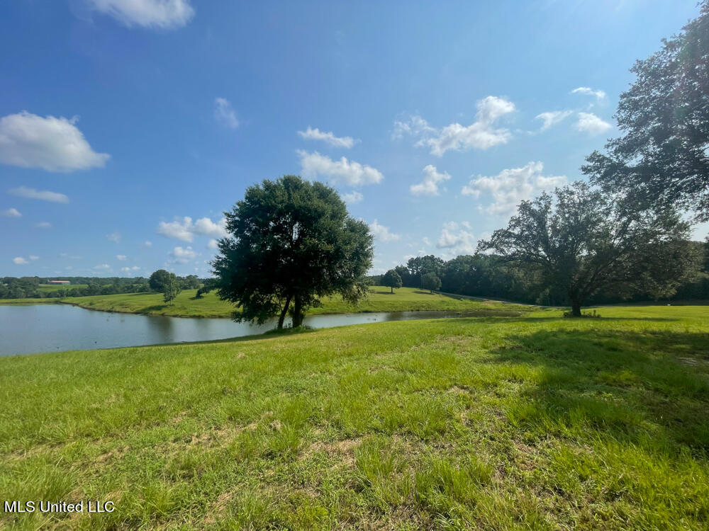 Lot 8 Conner Stringer Drive Property Photo 47