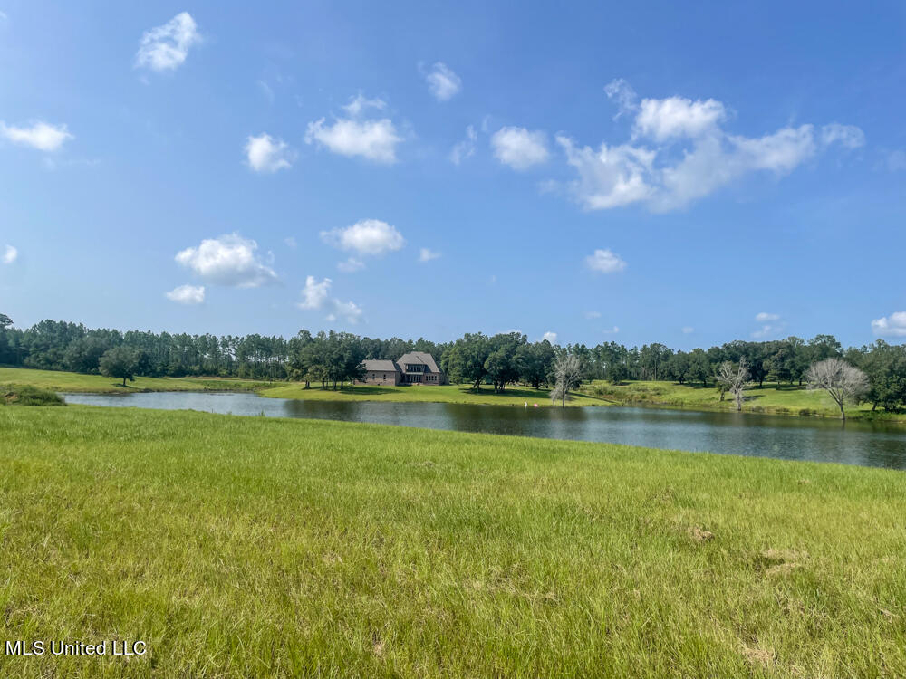 Lot 8 Conner Stringer Drive Property Photo 54