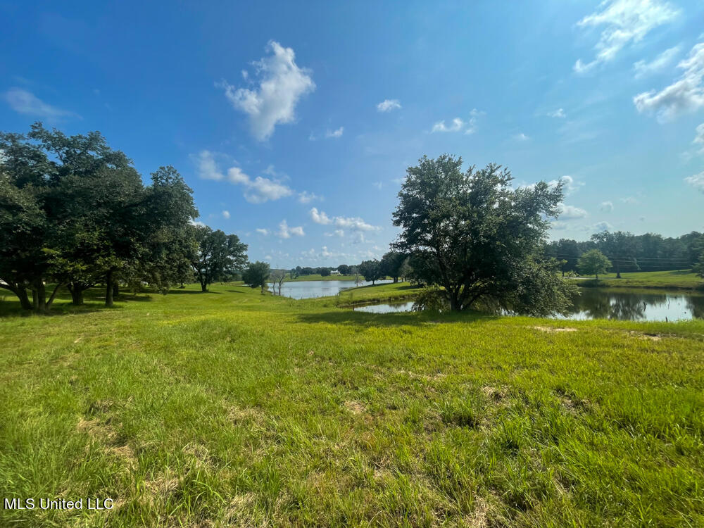 Lot 9 Conner Stringer Drive Property Photo 31